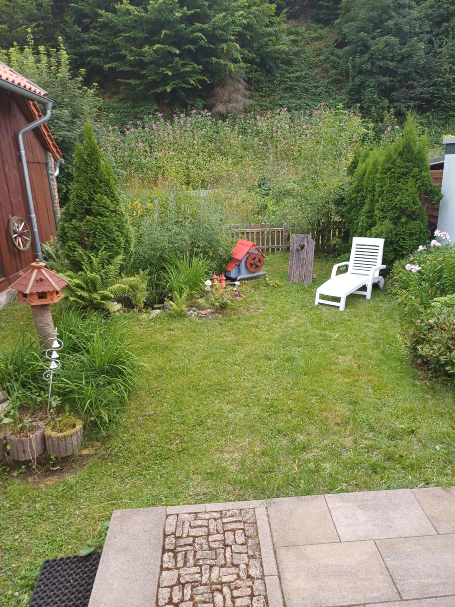 Dani'S Feriendomizil Villa Wieda Exteriör bild